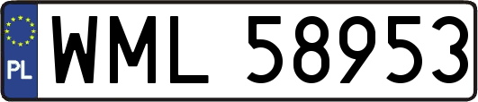 WML58953