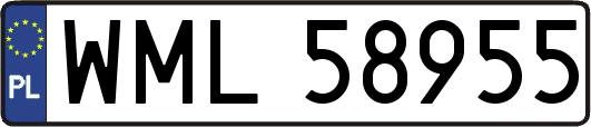 WML58955