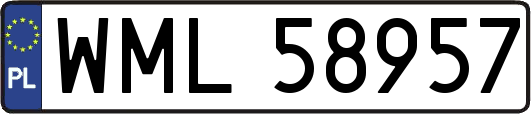 WML58957