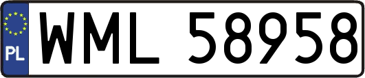 WML58958