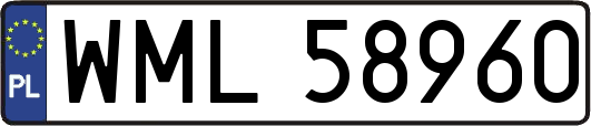 WML58960