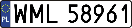 WML58961