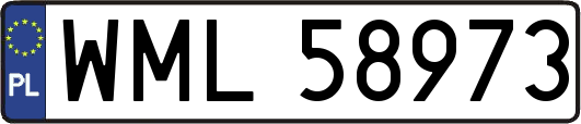 WML58973