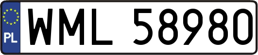 WML58980