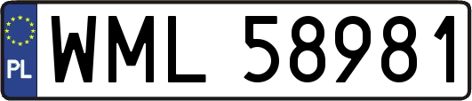 WML58981