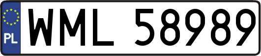 WML58989