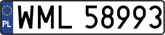 WML58993