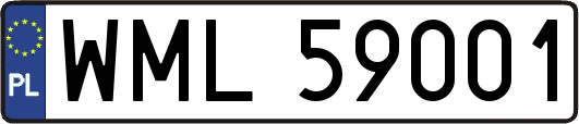 WML59001
