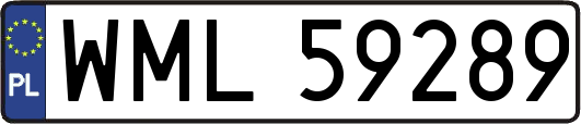 WML59289
