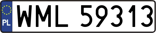 WML59313
