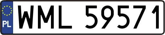 WML59571