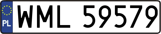 WML59579