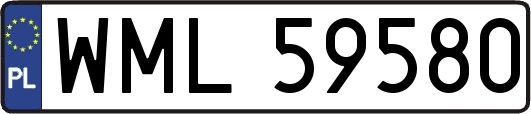 WML59580