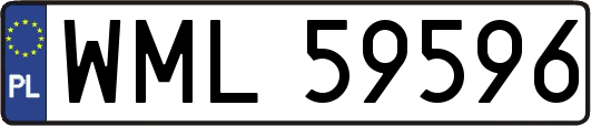 WML59596