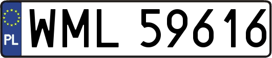 WML59616