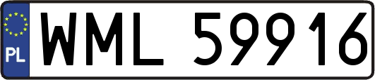 WML59916