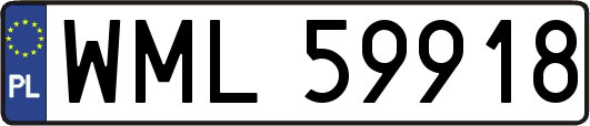 WML59918