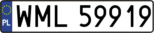 WML59919