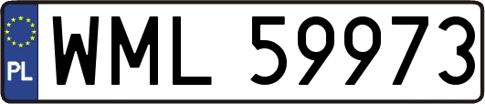 WML59973
