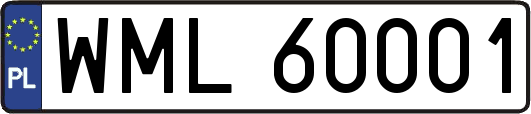 WML60001
