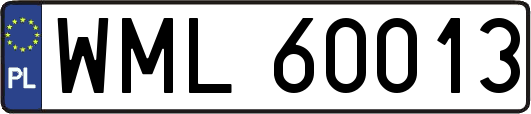 WML60013