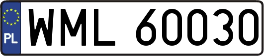 WML60030