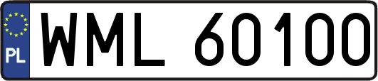 WML60100