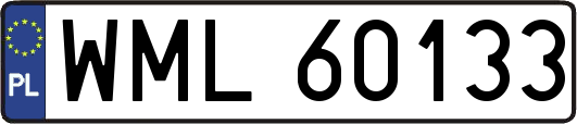 WML60133