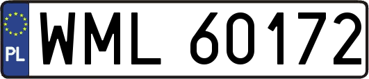 WML60172