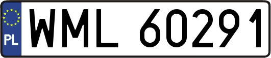 WML60291