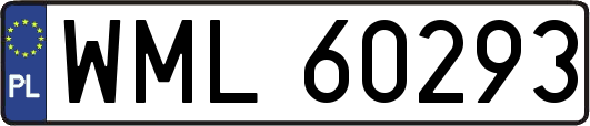 WML60293