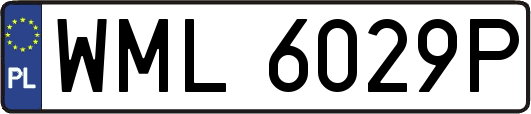 WML6029P
