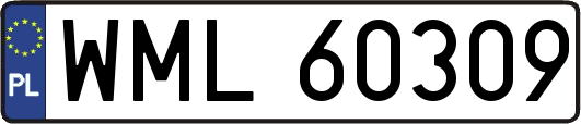 WML60309