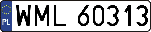 WML60313
