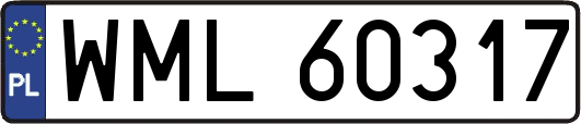 WML60317