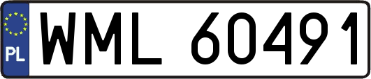 WML60491