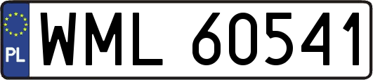 WML60541