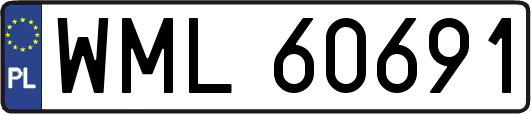 WML60691