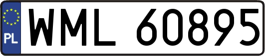 WML60895