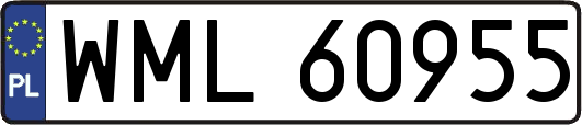 WML60955