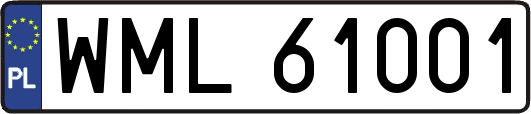 WML61001