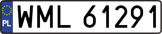 WML61291