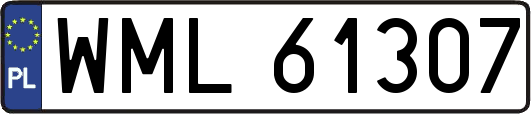 WML61307