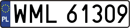 WML61309
