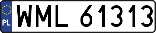 WML61313