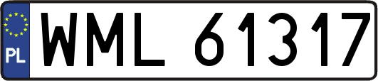 WML61317