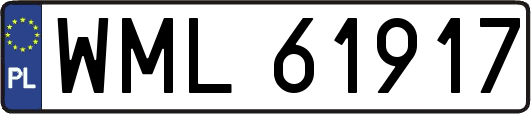 WML61917