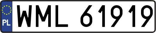 WML61919