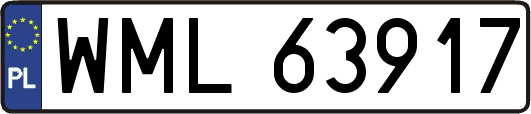 WML63917
