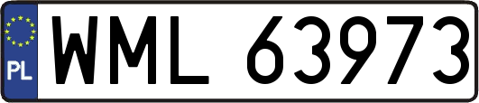 WML63973